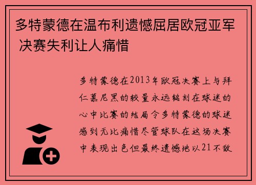 多特蒙德在温布利遗憾屈居欧冠亚军 决赛失利让人痛惜